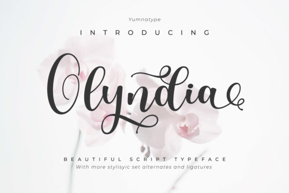 Olyndia: A Designer's Take on Modern Script Elegance