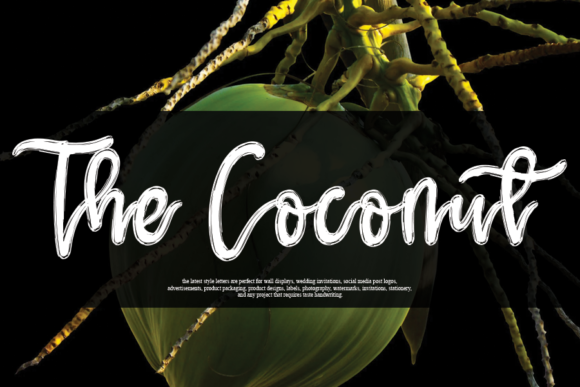The Coconut Font: Elevate Your Campaign Visuals
