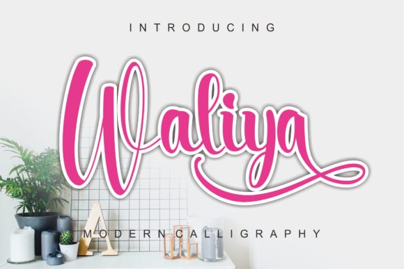Waliya: A Bold Script for Modern Brand Identity